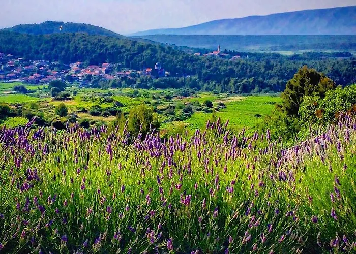 Veli Nova Bed and Breakfast