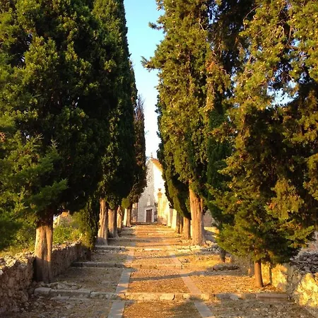 B&B Veli Nova 자발라