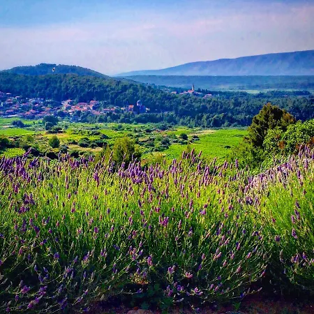 Villa Veli Nova Bed & Breakfast